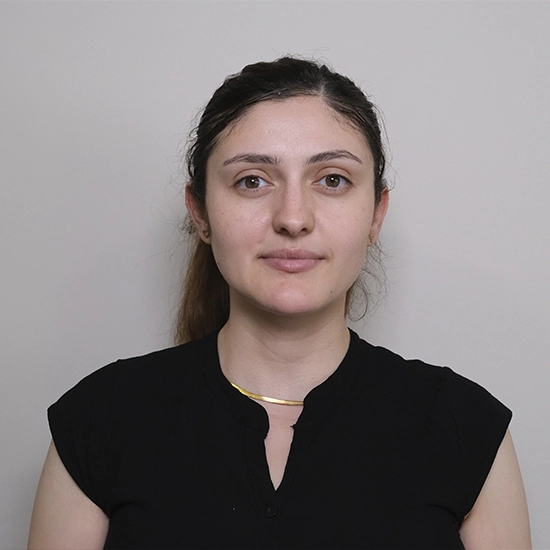 hamide yavuzer